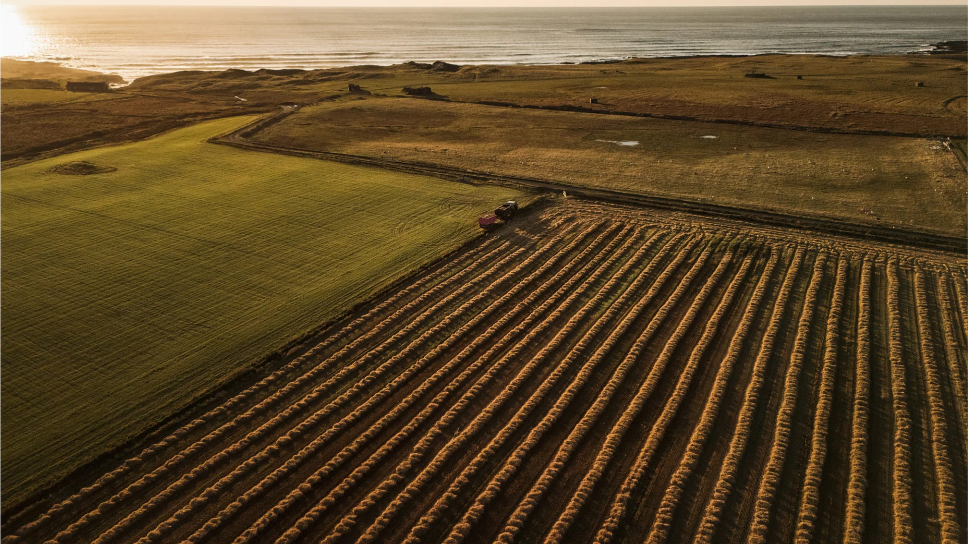 Sed convallis metus vitae est pretium, quis vehicula mi varius